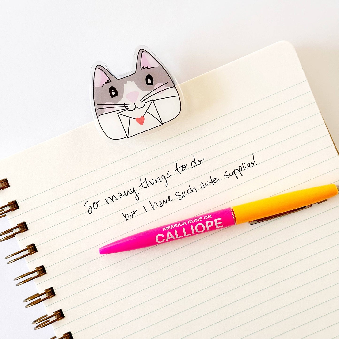 Chips and Envelope Cat Clip